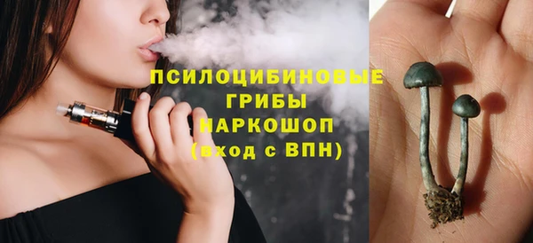 СК Алексеевка