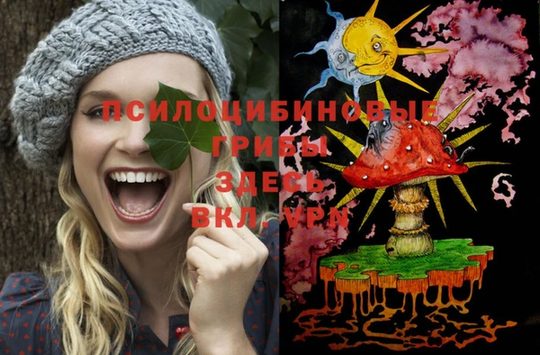 СК Алексеевка