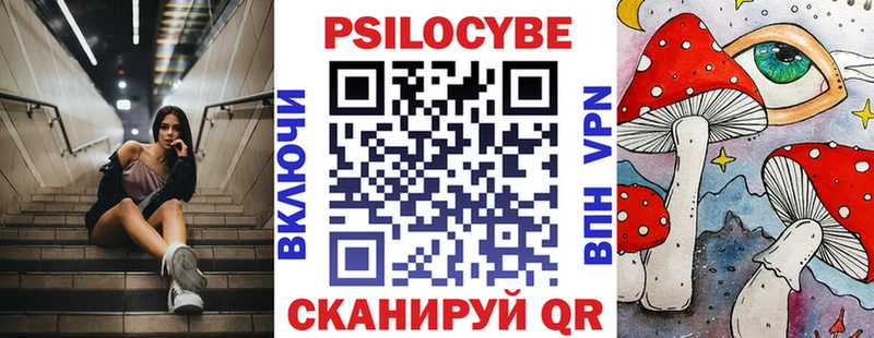 mega   Ахтырский  Псилоцибиновые грибы Psilocybine cubensis 